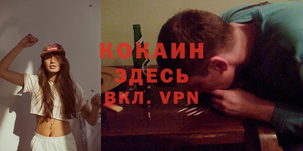 дживик Алексин