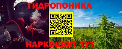 индика Старая Купавна