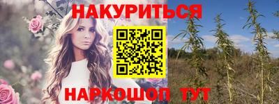 spice Ставрополь