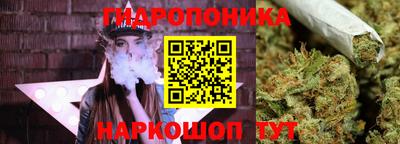 индика Старая Купавна