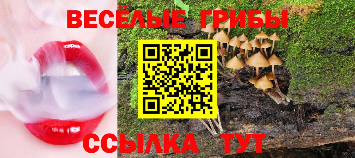 Тосно  Галлюциногенные грибы мухоморы  Галлюциногенные грибы MAGIC MUSHROOMS  Вход с VPN 