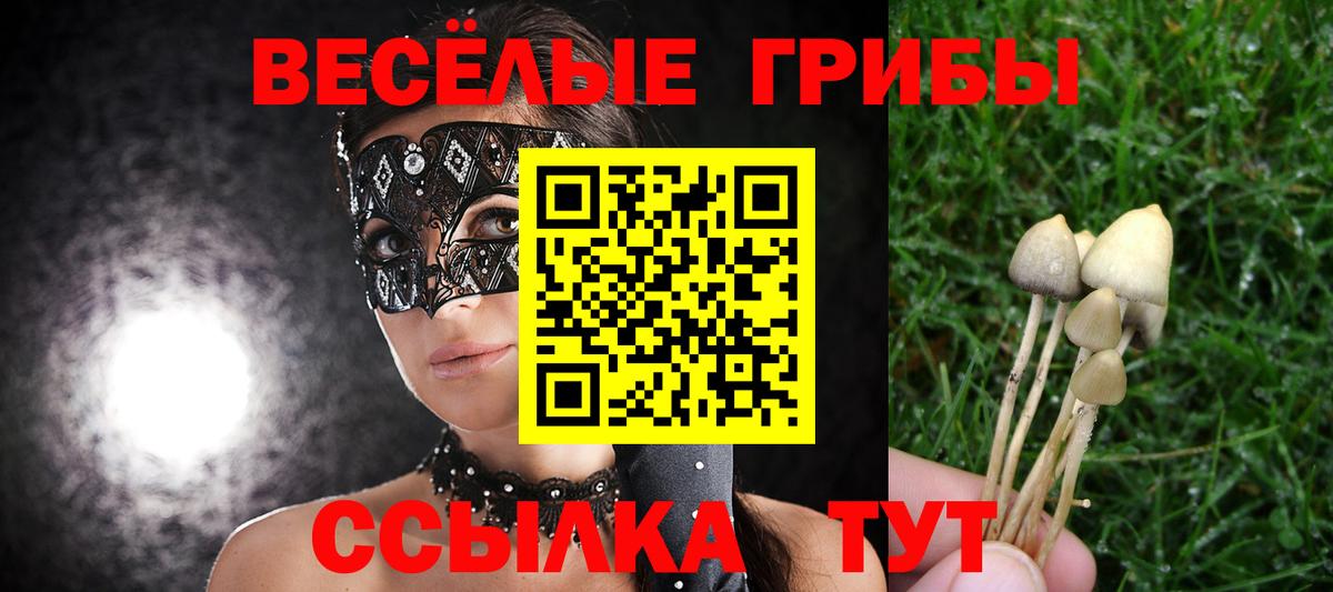 Псилоцибиновые грибы Magic Shrooms Тосно